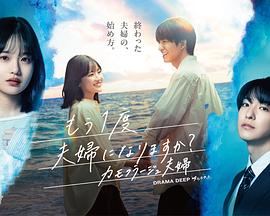 要再做一次夫妇吗？～伪装夫妇～