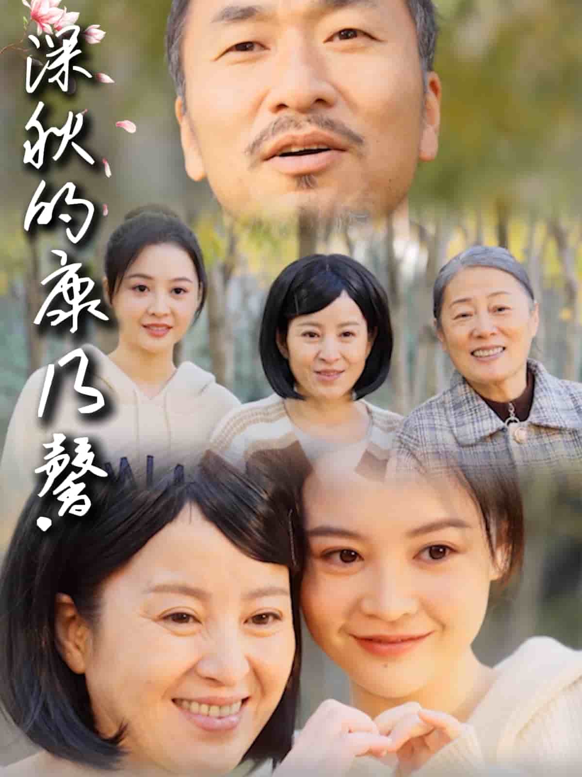 深秋的康乃馨