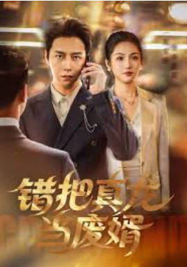 错把真龙当赘婿