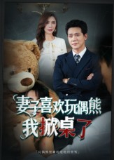 妻子喜欢偶熊，我掀桌了