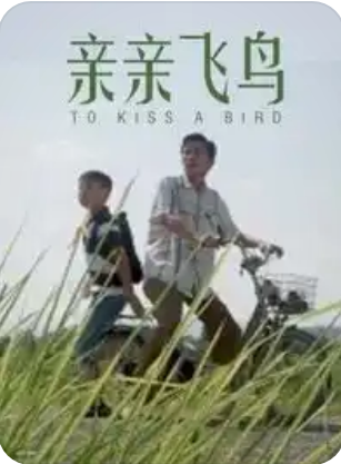 亲亲飞鸟