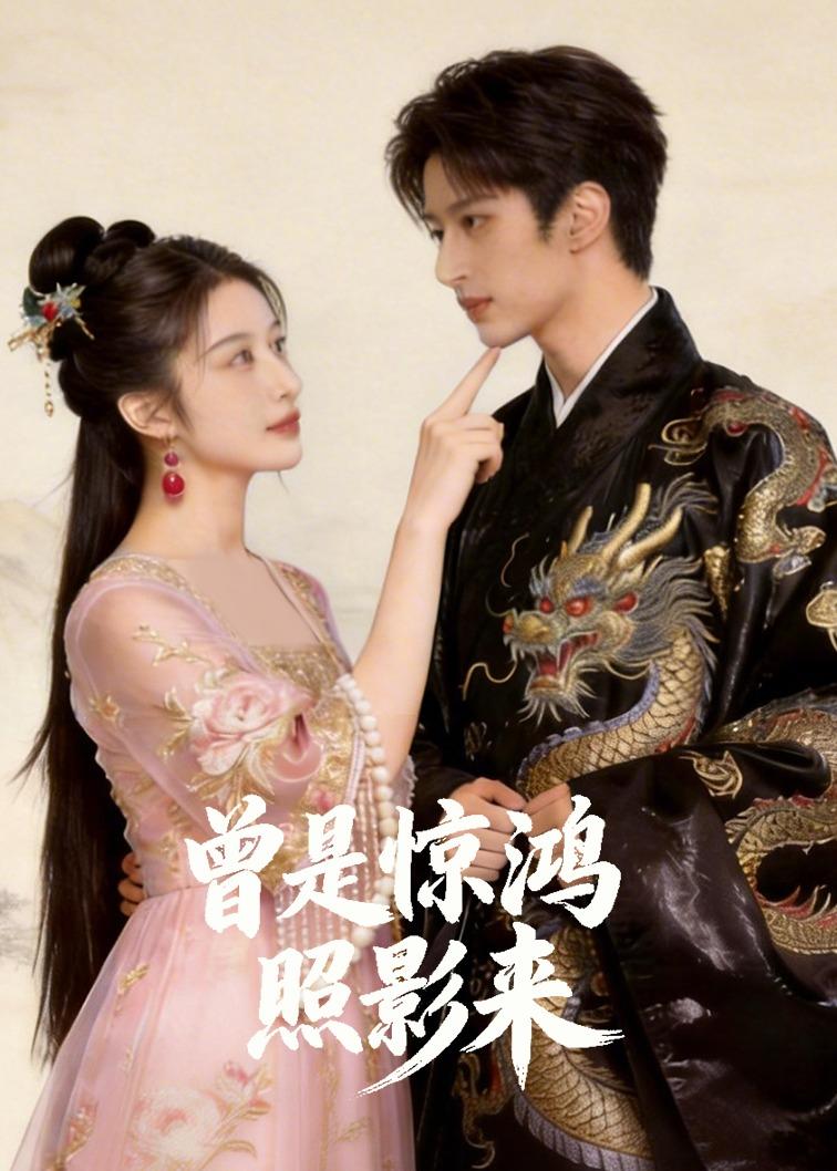 曾.是惊鸿照影来